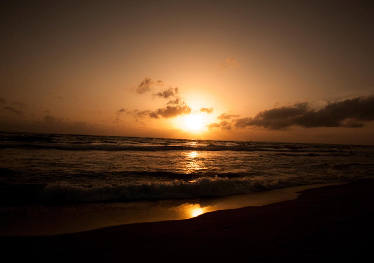 Colombo Lavinia Beach Hostel Дехивала-Маунт-Лавиния Экстерьер фото